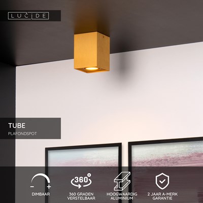 Lucide TUBE - Plafondspot - 1xGU10 - Mat Goud / Messing